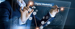 Digital Marketer